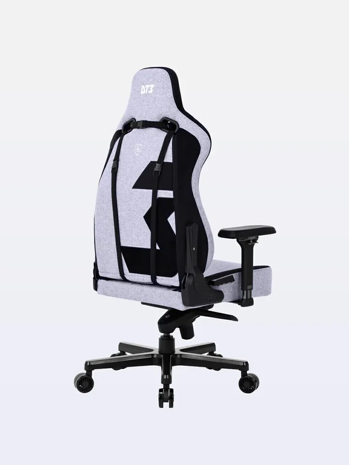 DT3 Rhino (gamer), vista de costas
